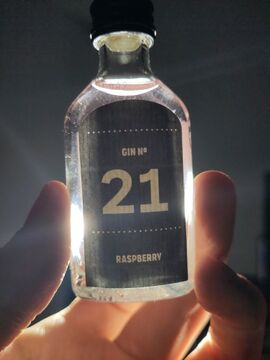 Quarantini Raspberry Gin Front with backlight