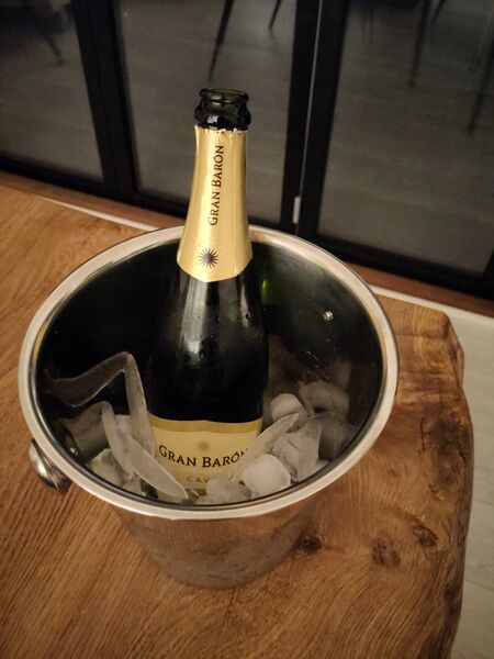 File:20220902CavaInBucket5.jpg