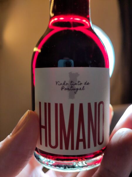 File:20231214TintoNovintageHumanoBacklit.jpg