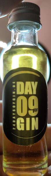 File:20240103a24DaysOfGinDay09Front.jpg