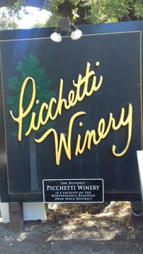 Picchetti6.jpg