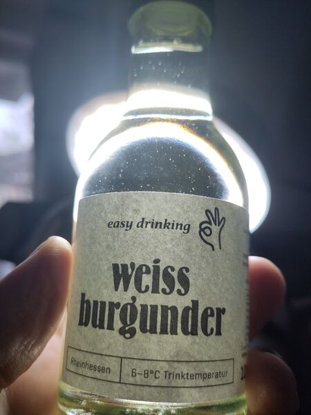 File:20251203Weissburgunder2024EasyDrinkingBacklit.jpg