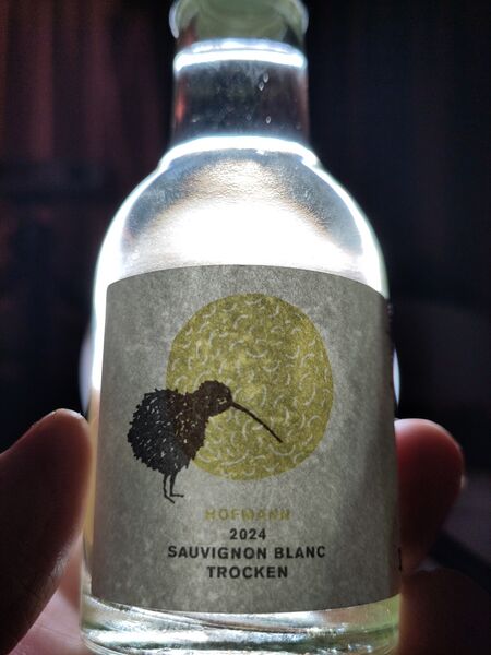 File:20251215SauvignonBlanc2024HofmannBacklit.jpg