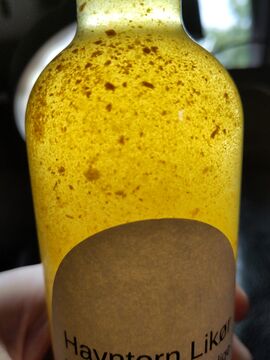 Backlit bottle