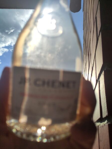 File:20260828Grenache-Cinsault2025JPChenetBacklit.jpg