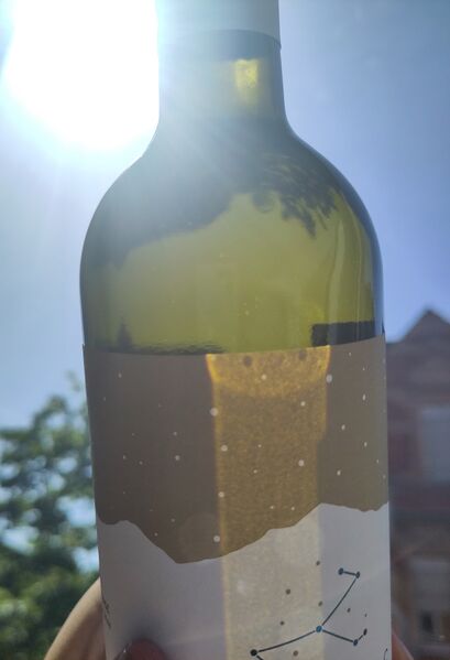 File:20260624MonocerosVilanaWhite2023DourakisBacklit.jpg
