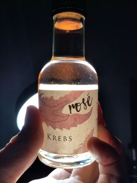 File:20221216KrebsRoseFront2.jpg