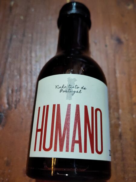 File:20231214TintoNovintageHumanoFront.jpg
