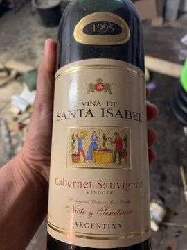 Nieto y Senetiner Cabernet Sauvignon 1995 Front