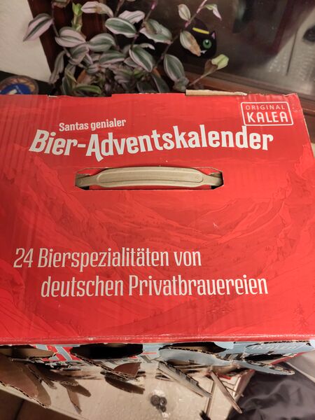File:20241221MeganAndGavinBierAdventskalender2.jpg