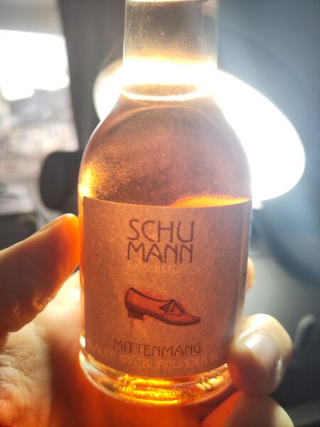 File:20251204SpätburgunderRoséMittenmang2023BettinaSchumannBacklit.jpg