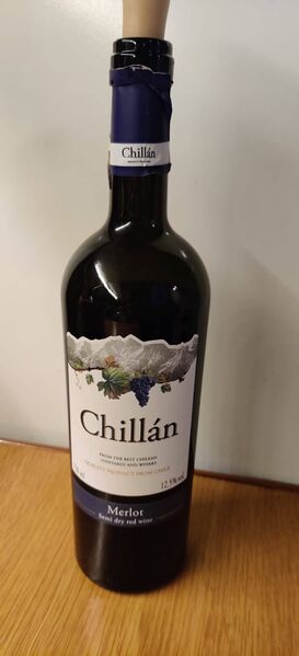 File:20211128ChillanMerlot.jpg