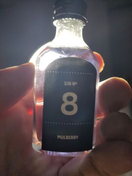Quarantini Mulberry Gin Front with backlight