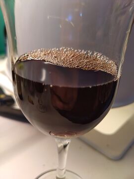 Nieto y Senetiner Cabernet Sauvignon 1995 in glass
