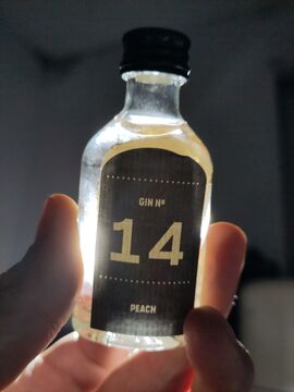 Quarantini Peach Gin Front with backlight