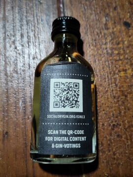 Quarantini Beer Gin Back