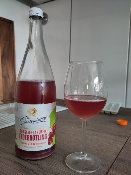 File:20240928DieSonnenwinzerBadischerLandweinFederrotlingNoVintageBadischerWinzerkellerTasting2.jpg