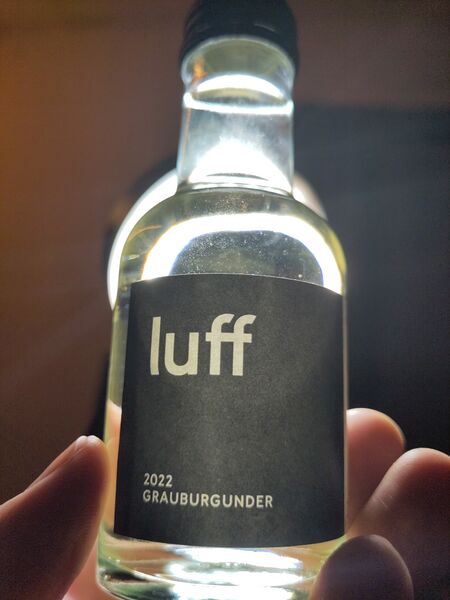 File:20231222Grauburgunder2022luffBacklit.jpg