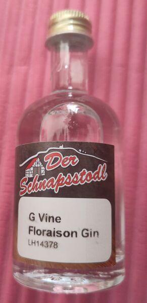 File:20230623GVineFloraisonGinFront.jpg
