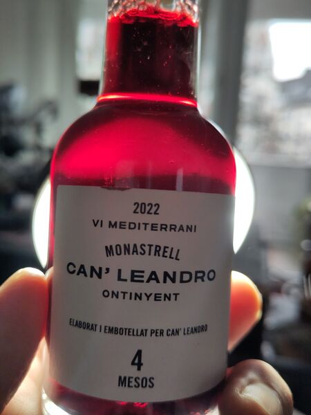 File:20241211Essencials4MesosMonastrell2022CanLeandroBacklit.jpg