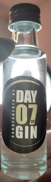 File:20240103a24DaysOfGinDay07Front.jpg