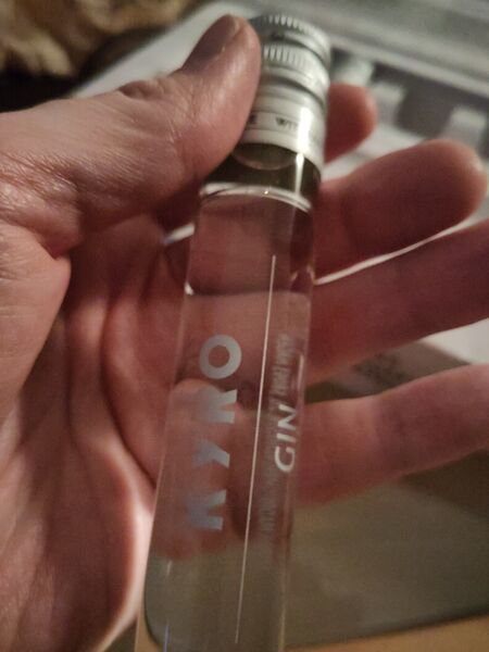 File:20240327KyröGinBottle.jpg