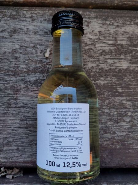 File:20251215SauvignonBlanc2024HofmannBack-2048.jpg