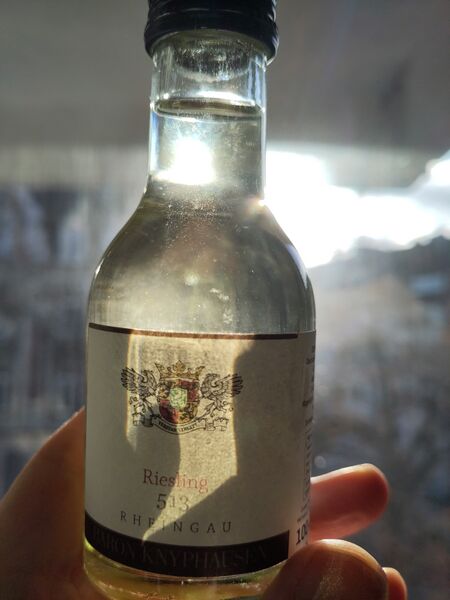 File:20251211Riesling5132024BaronKnyphausenBacklit.jpg