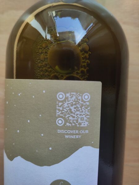 File:20260624MonocerosVilanaWhite2023DourakisQRCode.jpg