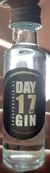 File:20240103a24DaysOfGinDay17Front.jpg