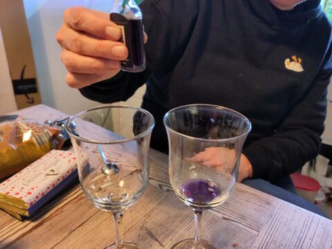 Quarantini Black Gin Tasting