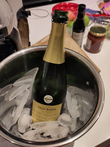 File:20220902CavaInBucket2.jpg