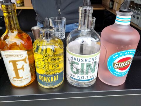 Revision gin tasting