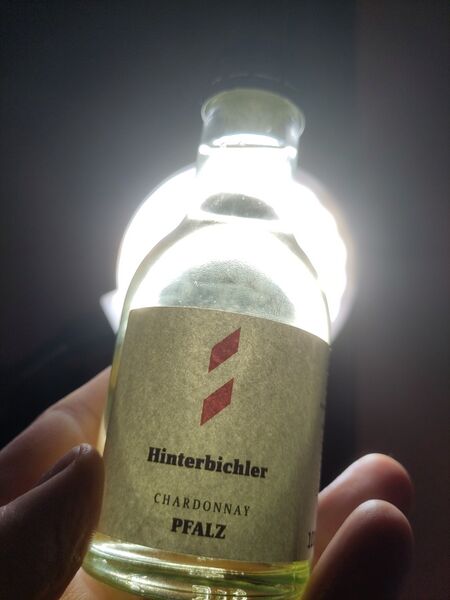 File:20251208Chardonnay2024HinterbichlerBacklit.jpg