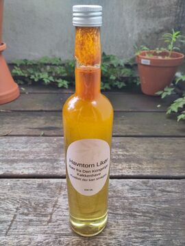 Bottle front