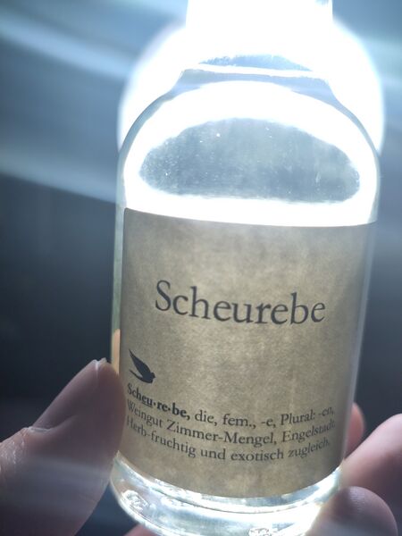 File:20241205ScheurebeNoVintageZimmer-MengelBacklit.jpg