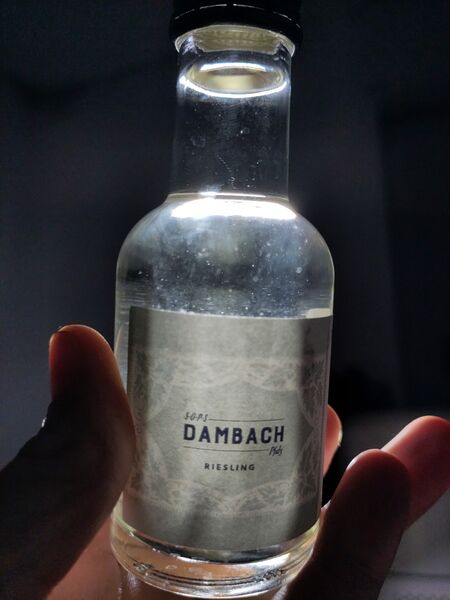 File:20221214DambachPfalzRieslingFront2.jpg